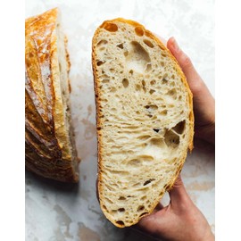 WWJD 900 Year old Organic Fresh Sourdough Starter Yeast Culture - Dutch / Wales Heritage