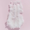 Raw Sugar Daily Micro Scrub Salt Polish Hibiscus and Island