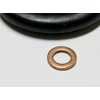 Cav Lucas Delphi Fuel Damper with Washer for DPA Diesel