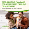 Animal Essentials SeaDent for Dogs - Kelp and Enzymes Plaque,