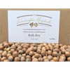 Hazelnuts in-shell from our family orchard in Washington state. (Raw,