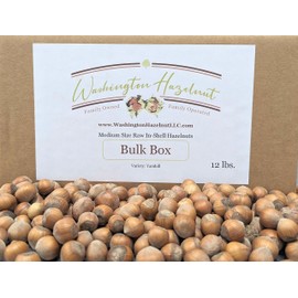 Hazelnuts in-shell from our family orchard in Washington state. (Raw, 12 pound Bulk Box)