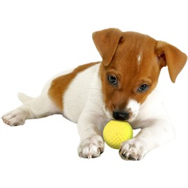 MARTIN SELLIER Dog Toy, Soft Rubber Ball, Puppy, Green