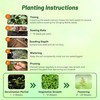 Outsidepride Stinging Nettle Seeds - 10000 Pcs Perennial and Low