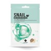 [Cosmetics] Luxury Brand Ain Snail Mask Pack 20ml / Improves dry skin / Improves skin texture / Moisturizes 3. Chaskin Aloe Mask Pack 100ea