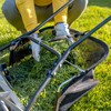 American Lawn Mower Company GC91820 18-Inch/20-Inch Reel Lawn Mower Grass
