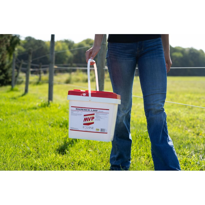 Magnesium 5000 (20lb) Calming/Metabolism/Muscle Function Support for Horses