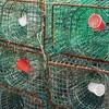 Songholee 20 Pcs Fishing Bait Cages – Heavy-Duty Plastic Feeder