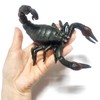 Scorpion 1P / Soft scorpion model made of flexible and