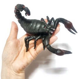 Scorpion 1P / Soft scorpion model made of flexible and durable TPR material / 전갈 1P  유연하고 내구성 좋은 TPR 소재의 말랑말랑 전갈 모형