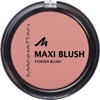 Maxi Blush No. 100 Exposed 9 g