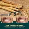 Paquete de 12 palitos de Miswak para dientes con soporte