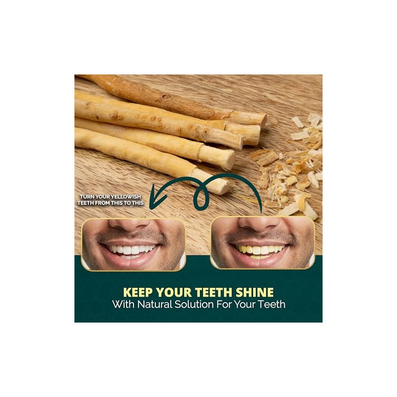 Paquete de 12 palitos de Miswak para dientes con soporte