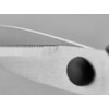 All-Purpose Kitchen Shears, Heavy-Duty Stainless Steel, Detachable Scissors with Comfortable