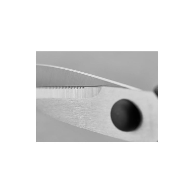 All-Purpose Kitchen Shears, Heavy-Duty Stainless Steel, Detachable Scissors with Comfortable