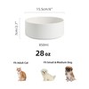 Havniva Non-Slip Ceramics Dog Bowl, 6in, White, 28oz
