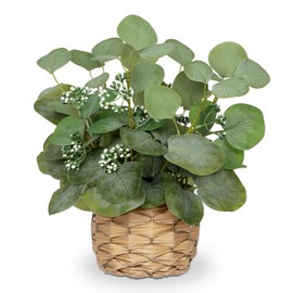 DILATATA Artificial Eucalyptus Stems in Woven Basket Planter, 12" Fake Plant Eucalyptus Leaves with Green Seeds Faux Potted Plant Greenery for Table Centerpiece Office Indoor Home Decor