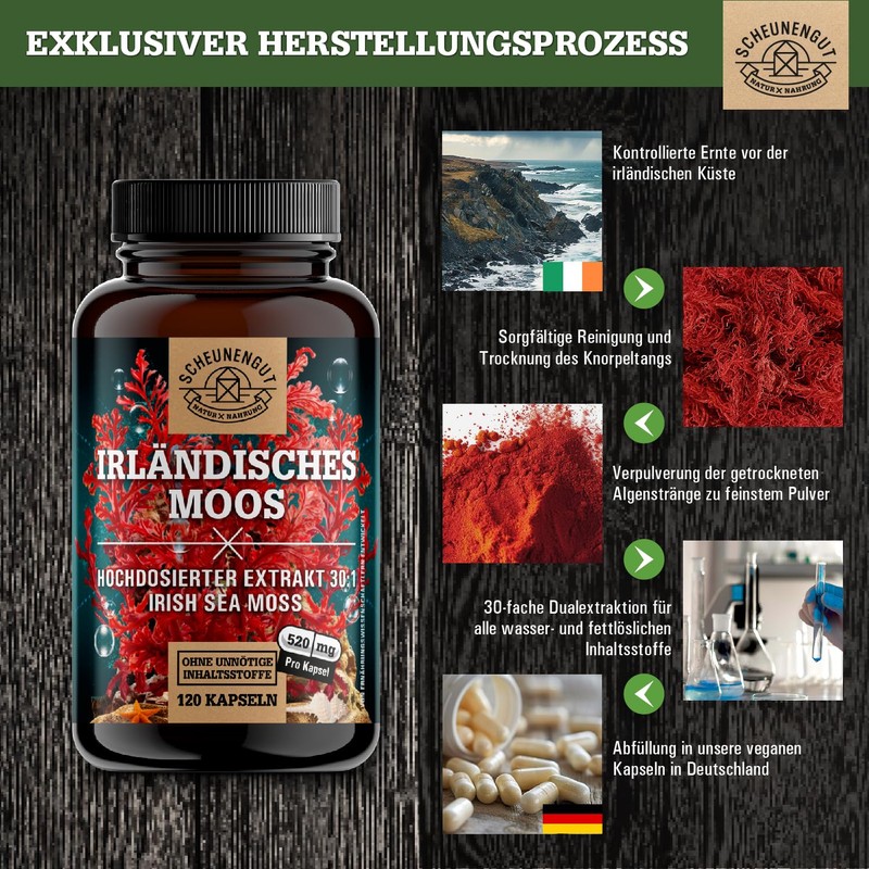 Seemoos aus isländischem Moos roter Seetang Sea moss