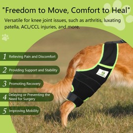 Dog Knee Brace for Hind Legs with Extra Collar & Strap - Relieves Joint Pain & Discomfort, Enhances Mobility | Supports Recovery from Osteoarthritis, Torn ACL/CCL, Luxating Patella | Adjustable (XS)