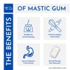 Greek Mastic Gum Chios Tears Μαστίχα Greece (Pistacia Lentiscus) -
