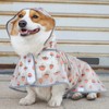 Dog Hooded Raincoat Reflective Waterproof Fashionable Pet Rain Jacket for