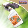 Bonide Captain Jack's Copper Fungicide, 32 oz Ready-to-Use Spray for
