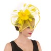 SAFERIN Fascinator Hat Feather Mesh Net Veil Cocktail Tea Party