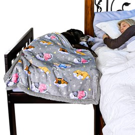 Sleepy Hippo Sweet Dreams Bedding Set - Soft Sherpa & Fleece Reversible Blanket, Plush Pillow, Gray Fitted Sheet for Comfort - Oeko-Tex 100 Certified, Safe & Gentle for Pets (Standard)
