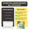 TrueSeaMoss Sample Sea Moss Gummies – 14 Pieces – Nutritious