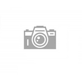 PAPYRUS Christmas Gift Tag, 1 EA