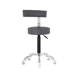 Lilfurni Swivel Rolling Stool Round Chair,Thick Sturdy Padding,Adjustable Stool with Wheels for Doctor,Medical,Massage Salon,Office,Shop(Black) (Gray,with Back)