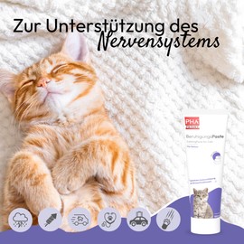 PHA Cat Soothing Paste for Stress, Rest, Anxiety, Marking, New Environment, Natural Nerve Support, Anti-Stress Agent, 100 ml