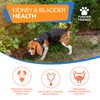 Bladder & Kidney Support Supplement for Dogs & Cats -