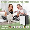 AP-B102 Replacement Filter Compatible with Alexapure Breeze Air Pu-rifier AP-B102