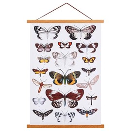 Ywlake A4 Poster Rail, Poster Strips, Magnetic Wooden Poster Hanger, Holder, Frame, Strips, Picture Rail, Picture Frame, 21 x 30 cm, 20 x 30 cm, 20 x 45 cm (21 cm), Teak