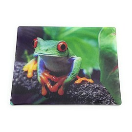 Onwomania Frog Toad Frog Larch 9 x 7 cm 3D Magnet Card Fridge Magnet Magnetic Picture Staple Magnet Green