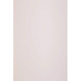 Netuno 10 x Pastel Pink Natural Paper DIN A4 210 x 297 mm 120 g Keaykolour Pastel Pink Craft Paper A4 Light Pink High Quality for Printing Tasks Invitation Cards Wedding Cards Thank You Cards