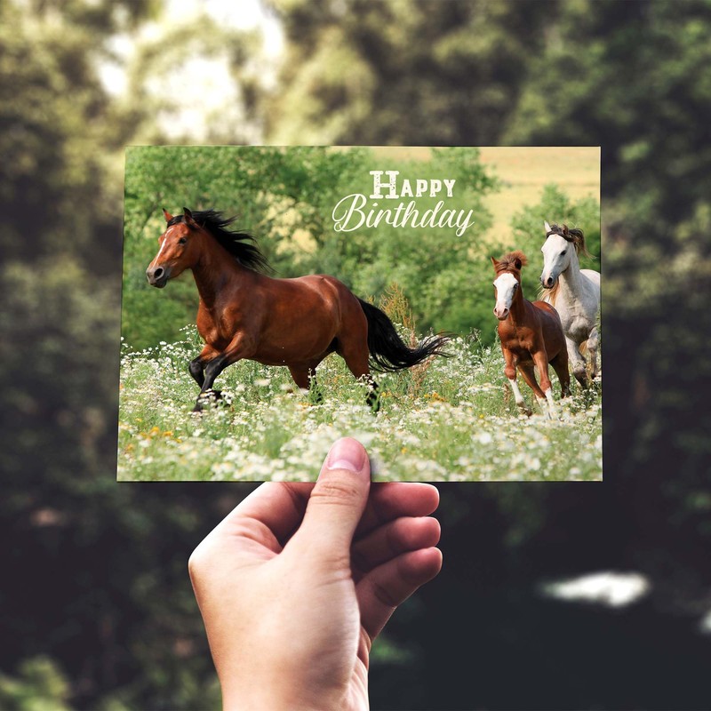 Shared Blessings Celebrations 48 Boxed Birthday Cards with KJV Scripture