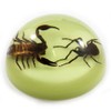 REAL BUG SS112 4" Black Scorpion and Spider Dome Paperweight