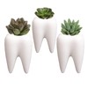 YOUYA DENTAL Succulent Plant Pots, Cute Tooth Shape White Ceramic