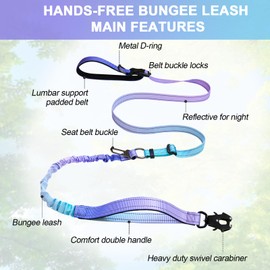 Heavy Duty Hands Free Dog Leash with Quick Release Carabiner and Adjustable No Pull Bungee Dog Running Waist Leash，for Walking and Training with Car Seat Belt 4-6FT (Aurora Purple)