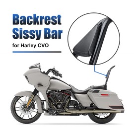 22 inch Detachable Passenger Sissy Bar Fit for Harley Touring Models 2009-2024 CVO Road Glide Street Glide Road King, One-Piece Rear Backrest with Back Cushion Black