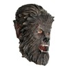 Rubies Wolfman Mask Costume Accessory