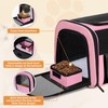 Cat, Dog Carrier for Small Medium Pets