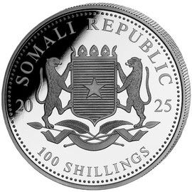 Somalia Leopard 2025 Silver Coin 1 oz Colour Silver Coin 999 African Wildlife