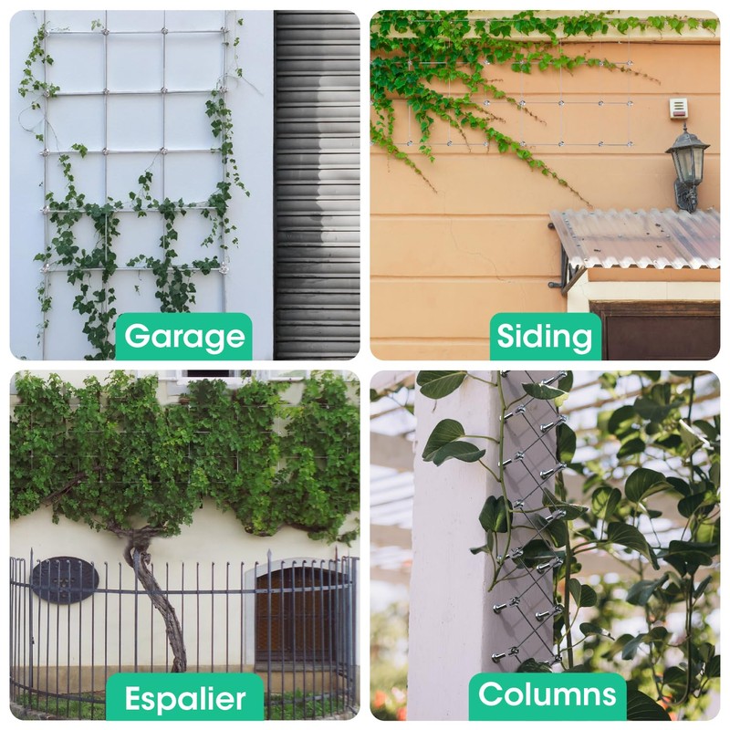 RiaYer Professional T316 Stainless Steel Wire Trellis Kit for Climbing