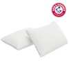 Arm & Hammer Cooling Comfort Zippered Pillow Protector, 2-Pack, King