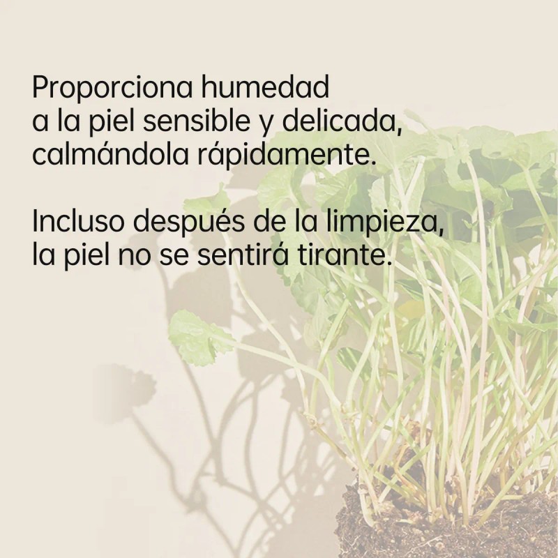 Mixsoon Espuma Limpiadora Centella Calmante Y Antiacné 150ml