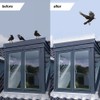 12Pcs Outdoor Plastic Anti Bird Spike Strips Repellent Defender for
