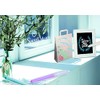 Stylex 28305 - 10 Chalk Pens for Decorative Painting and